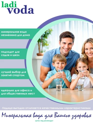 Раифский источник Ладица 1,5 л