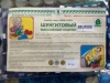 Ляпко Шунгитовый коврик LYAP-0034