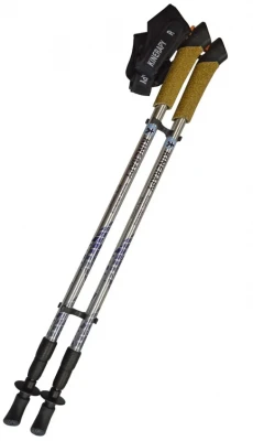 Палки для скандинавской ходьбы KINEPARY CARBON RW905